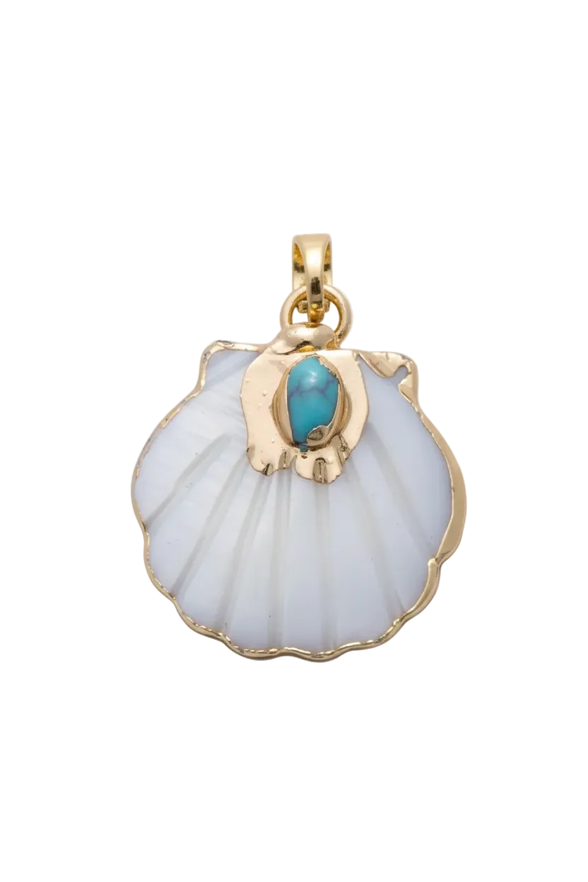 Shell charm