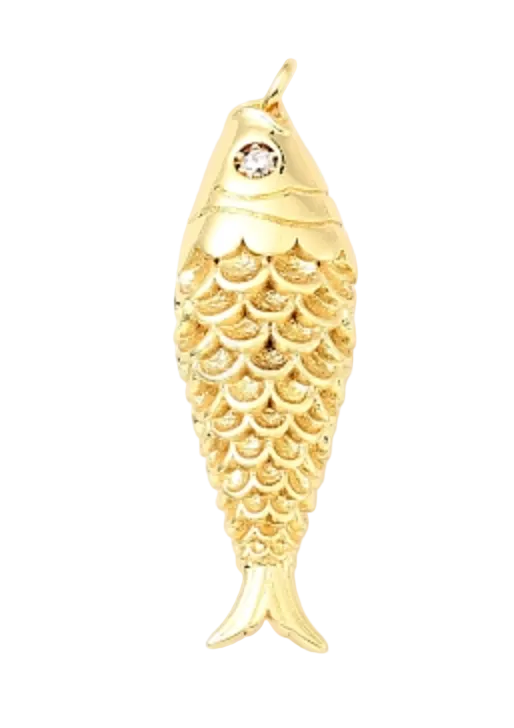 Large gold fish