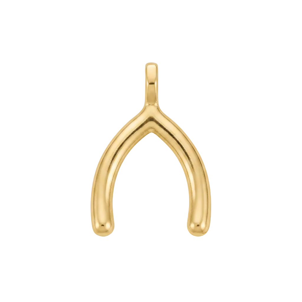 Wishbone charm