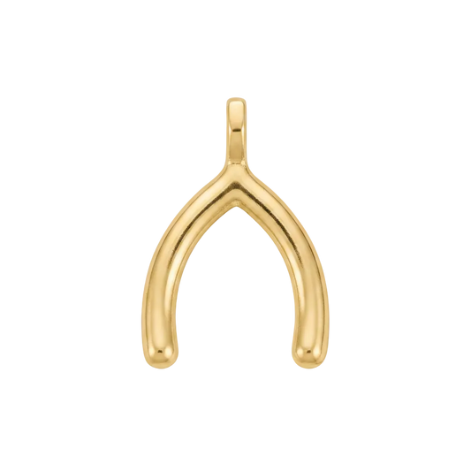 Wishbone charm